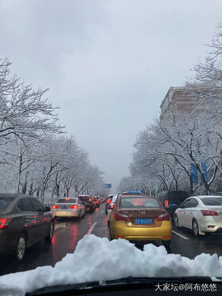 北京又下雪了❄️，不能辜负它啊，拍些雪景留个纪念吧。_景色