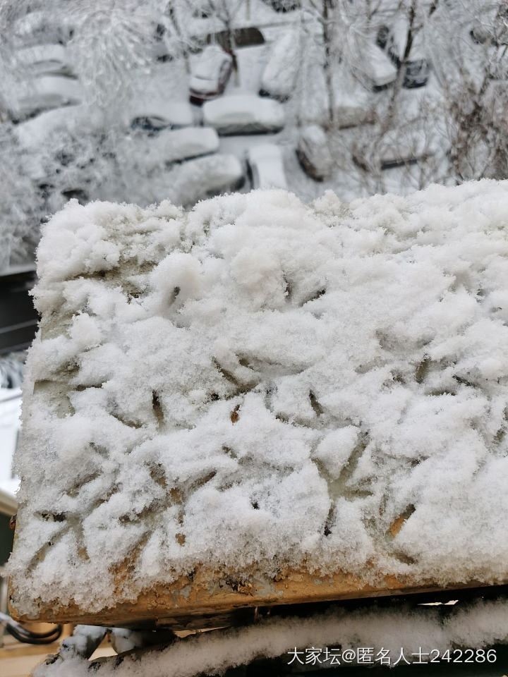 北京又下雪了❄️，不能辜负它啊，拍些雪景留个纪念吧。_景色