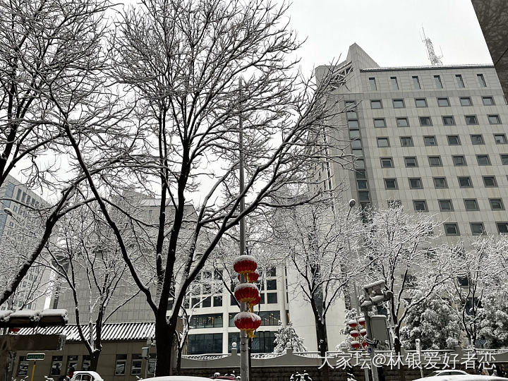 北京又下雪了❄️，不能辜负它啊，拍些雪景留个纪念吧。_景色