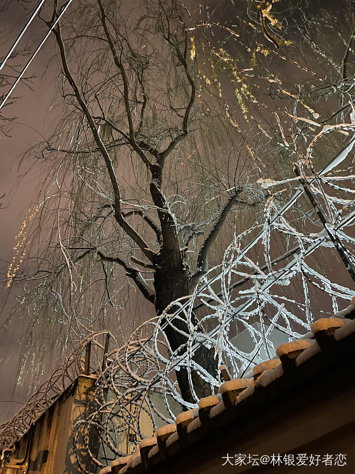 北京又下雪了❄️，不能辜负它啊，拍些雪景留个纪念吧。_景色