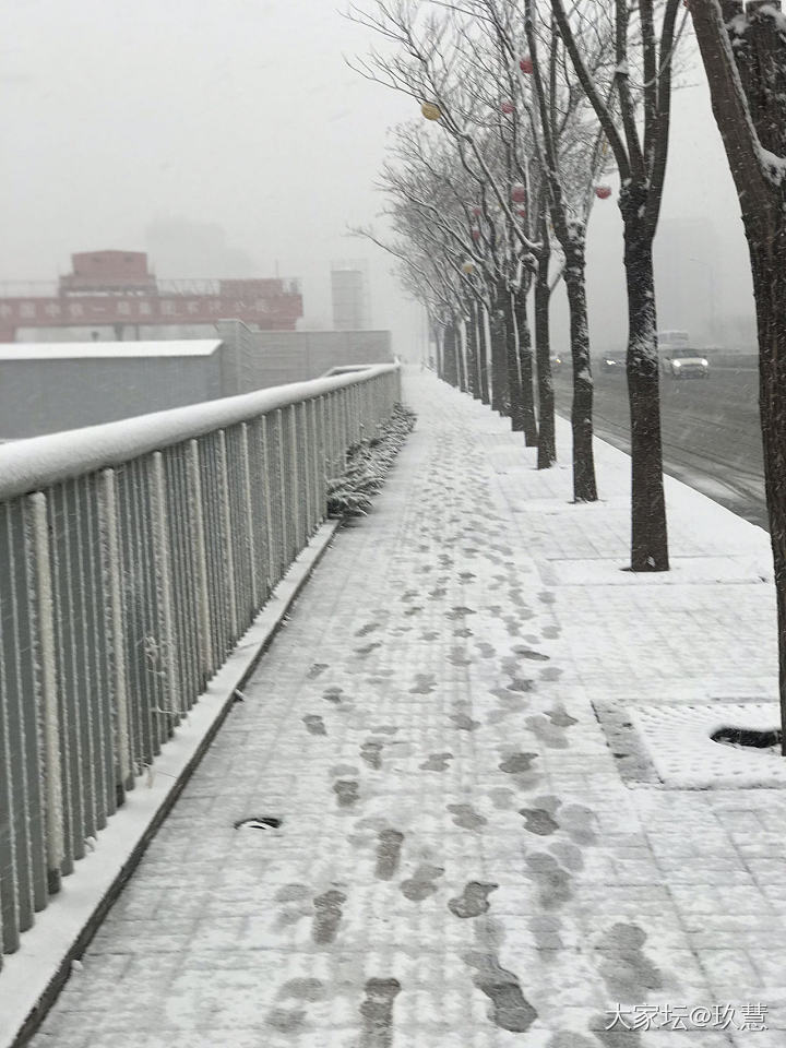 春天来北京看雪吧！_坛友风采