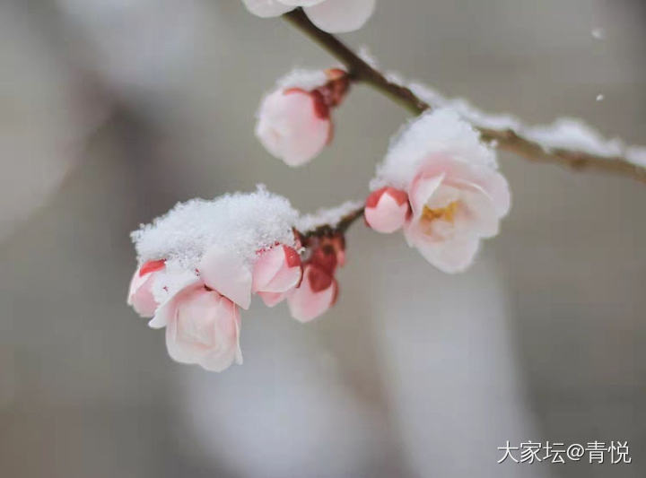 趁着有雪去故宫看了看，珍宝馆还是那么厉害～_博物馆