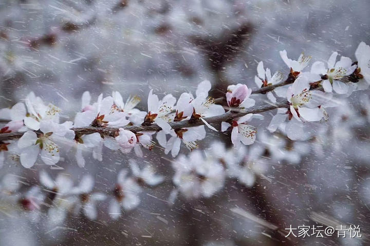 趁着有雪去故宫看了看，珍宝馆还是那么厉害～_博物馆