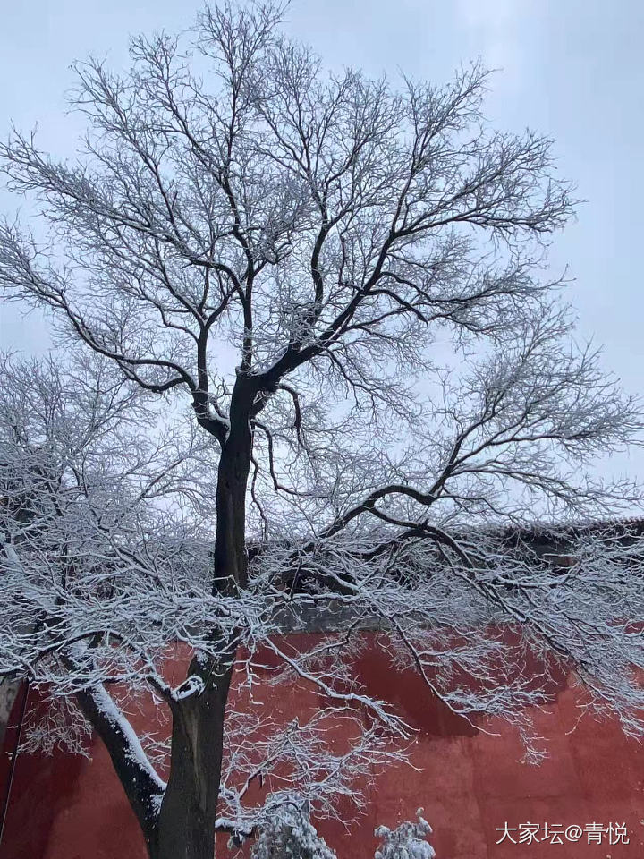 趁着有雪去故宫看了看，珍宝馆还是那么厉害～_博物馆