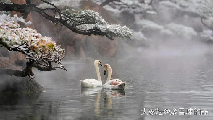 春雪_景色