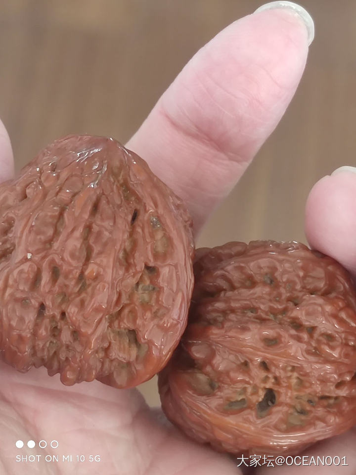 能看出啥品种吗_核桃文玩