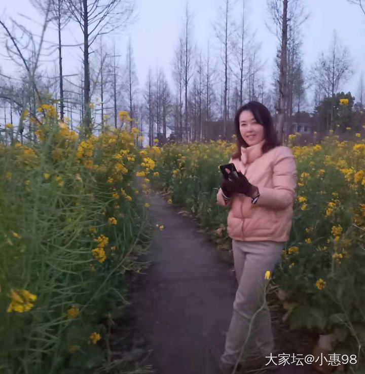 这几天特别冷呀

下了几天雨，家里只有11度，又回到冬天了，瑟瑟发抖中。

油菜...