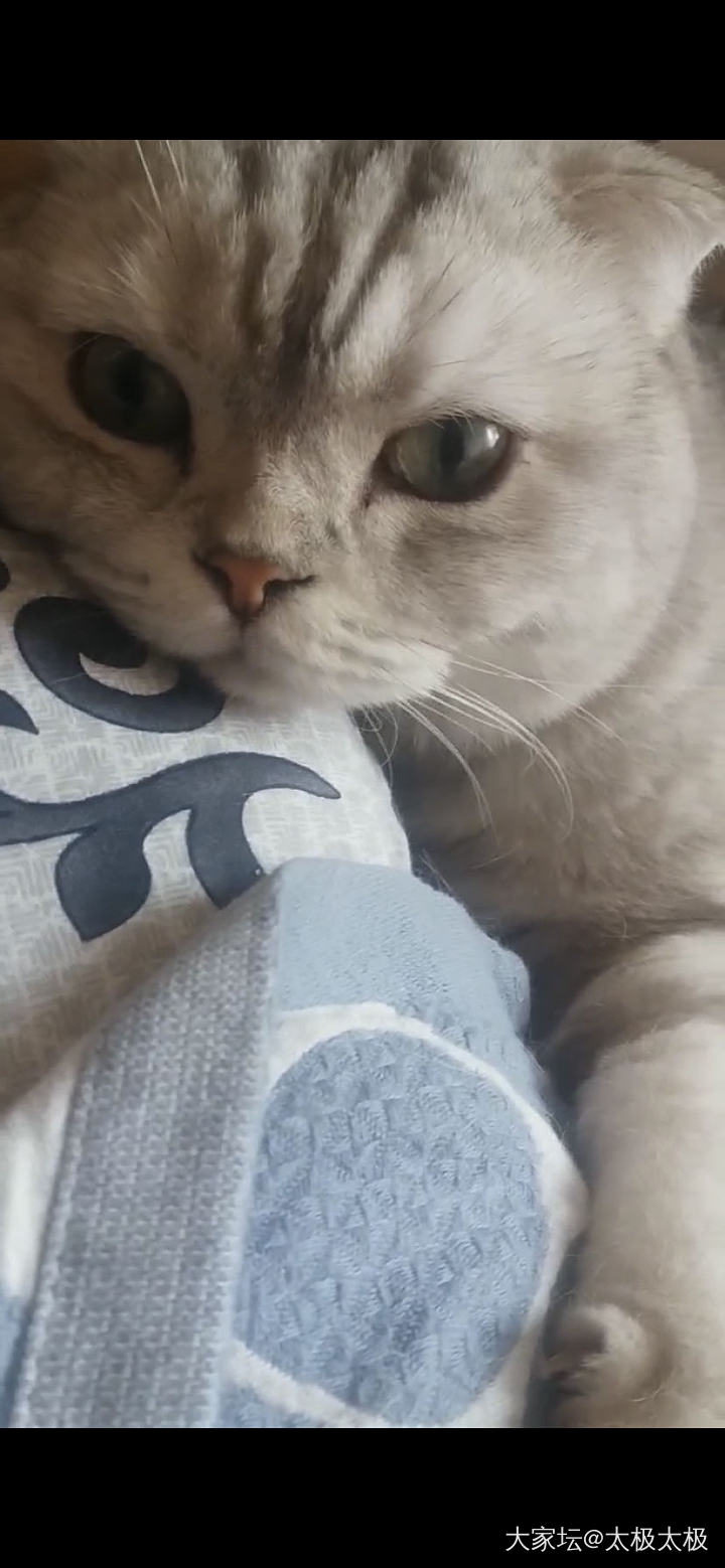 祖母绿，我是不是被骗了_祖母绿