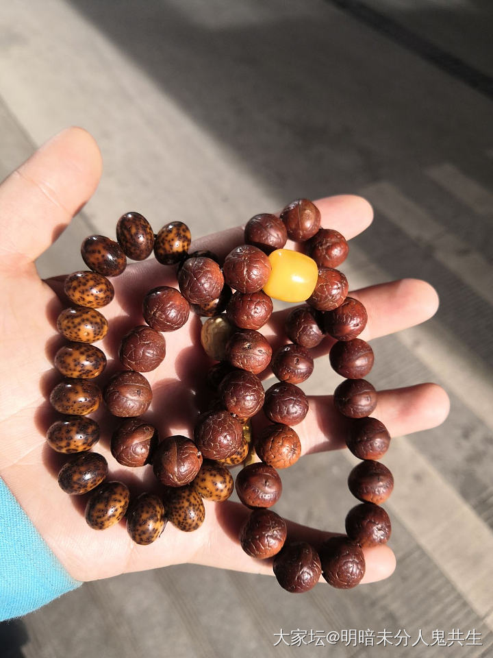 最久的串_菩提子