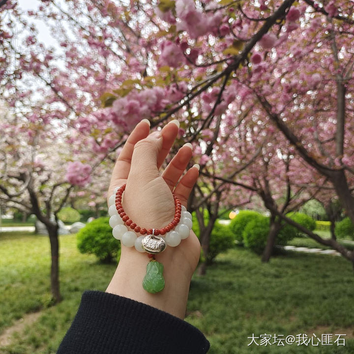 再来点🌸🌸的世界_和田玉银花