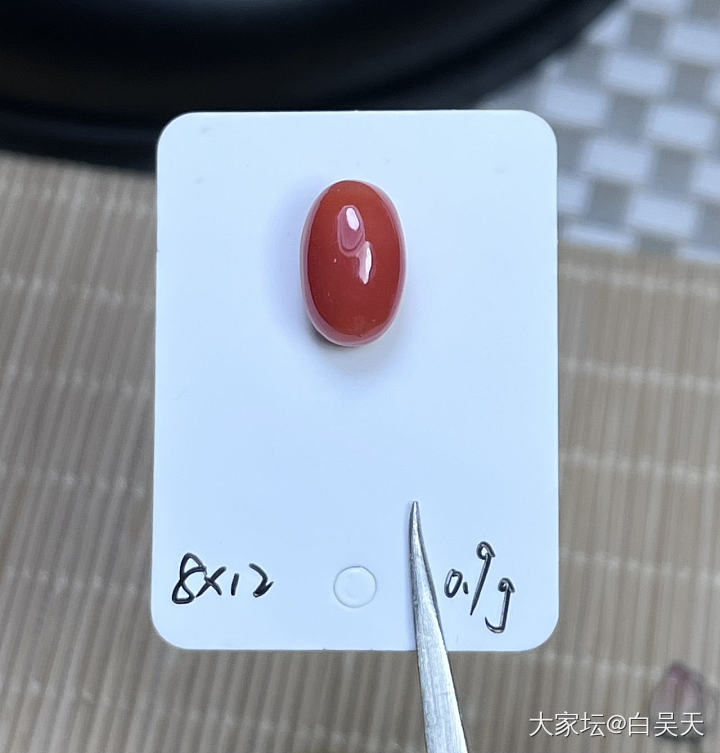 日本阿卡 难得一见的艳丽色彩_珊瑚