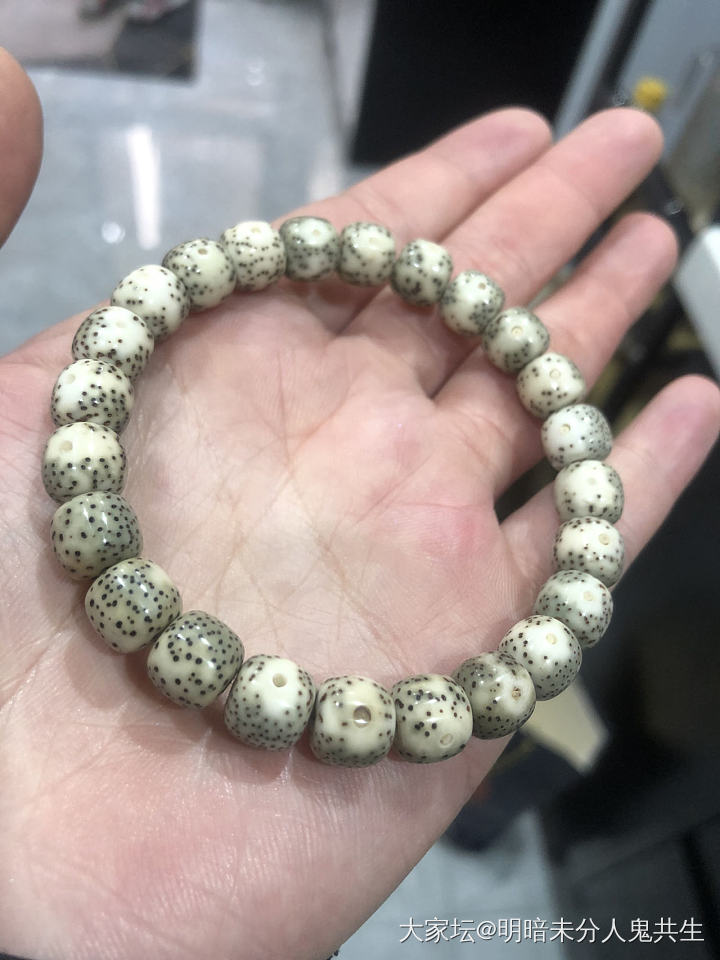 新欢和旧爱_菩提子