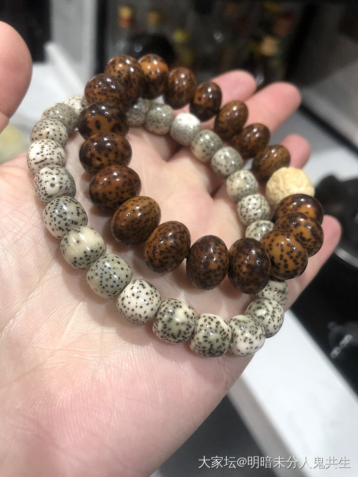 新欢和旧爱_菩提子