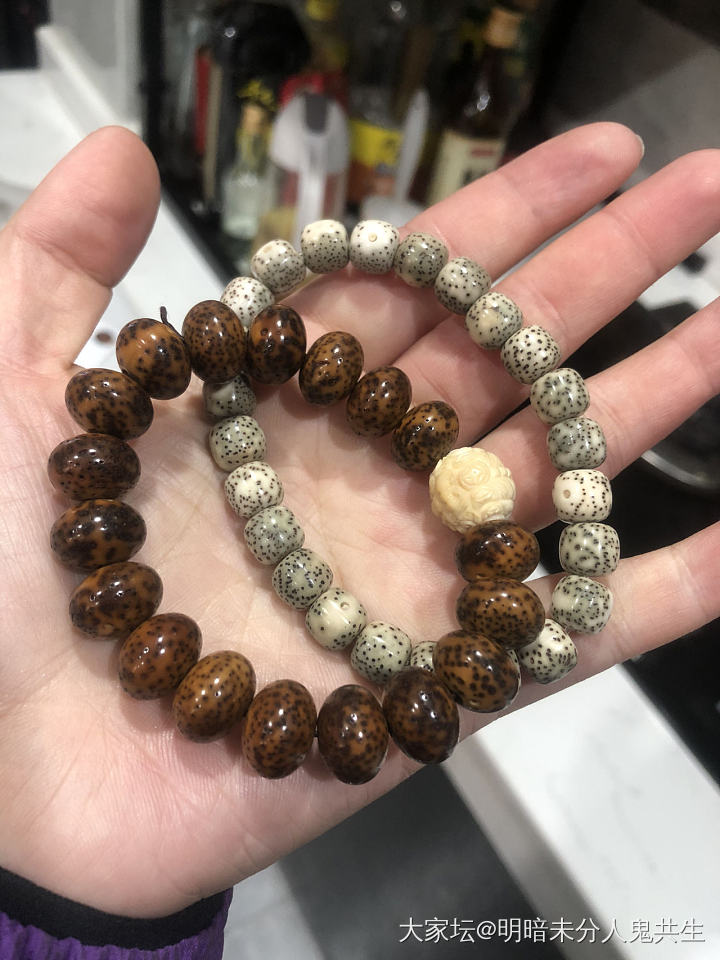 新欢和旧爱_菩提子
