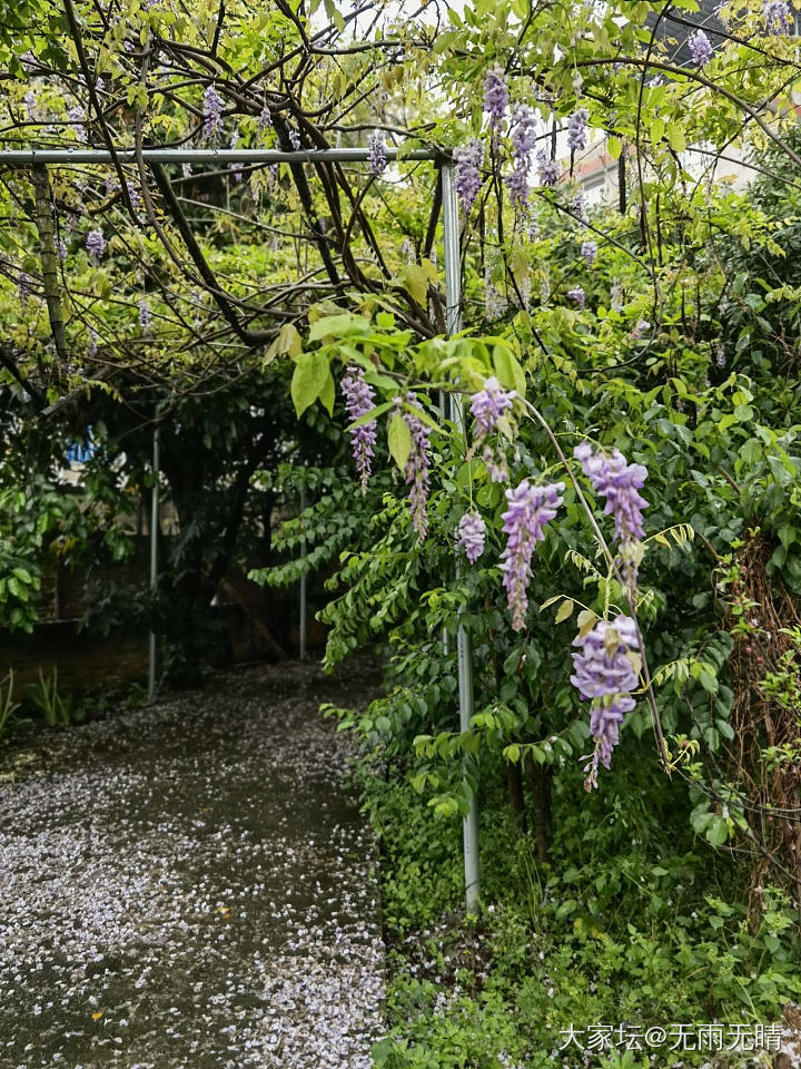 守间小院 细数流年……有小院的坛友们来秀个_闲聊