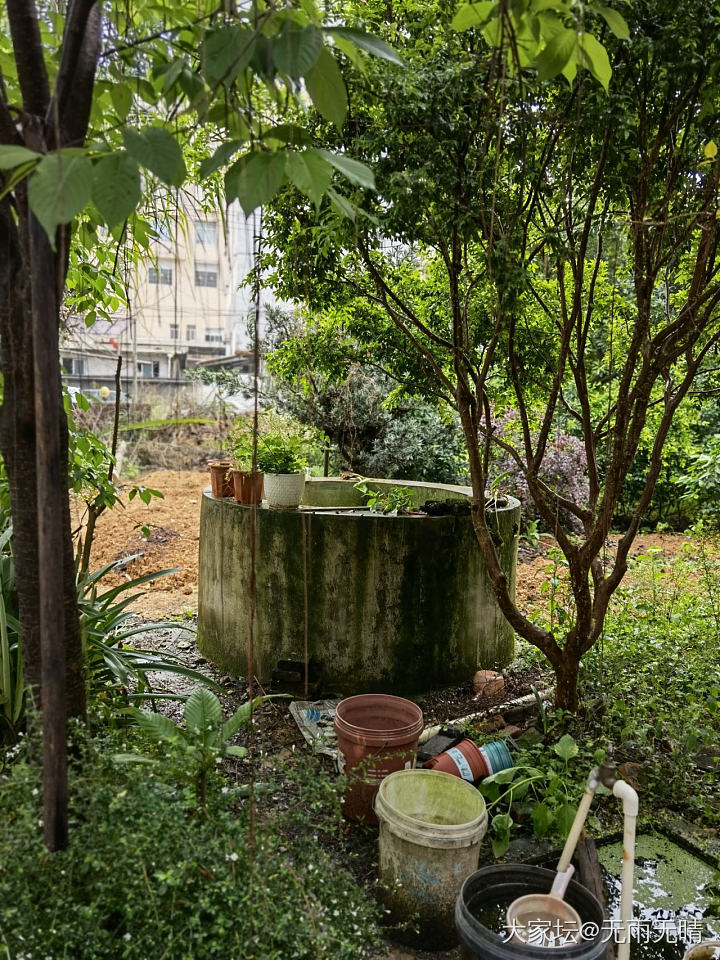 守间小院 细数流年……有小院的坛友们来秀个_闲聊