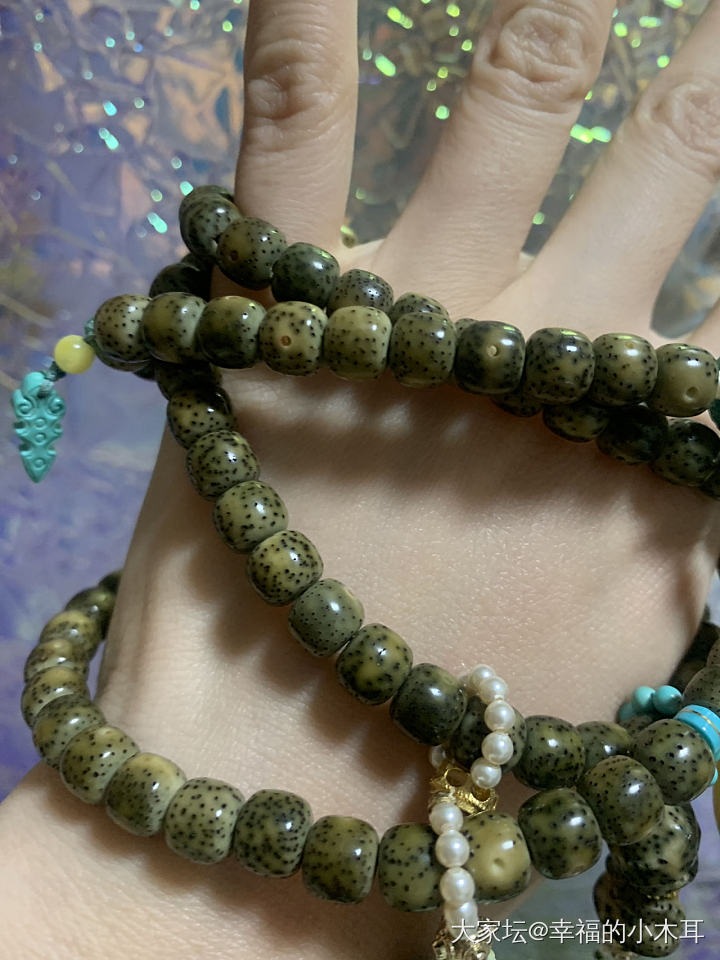 新欢和旧爱_菩提子