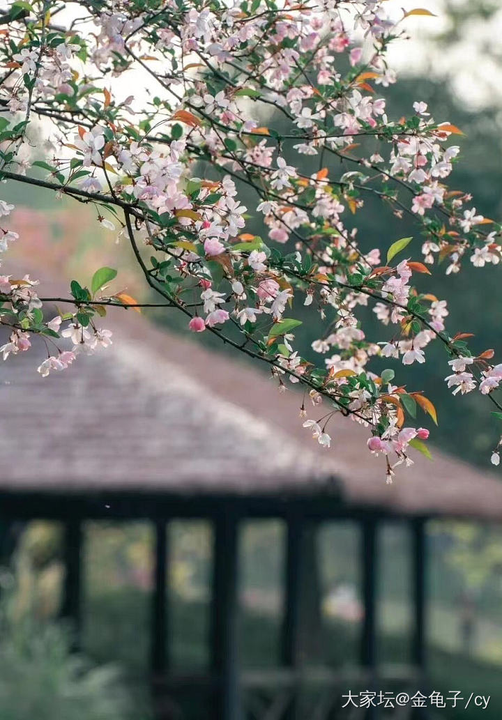 响应号召！上点美美的风景，疫情这几年，太想出去玩了，现在别说出去，本市逛个植物园..._景色