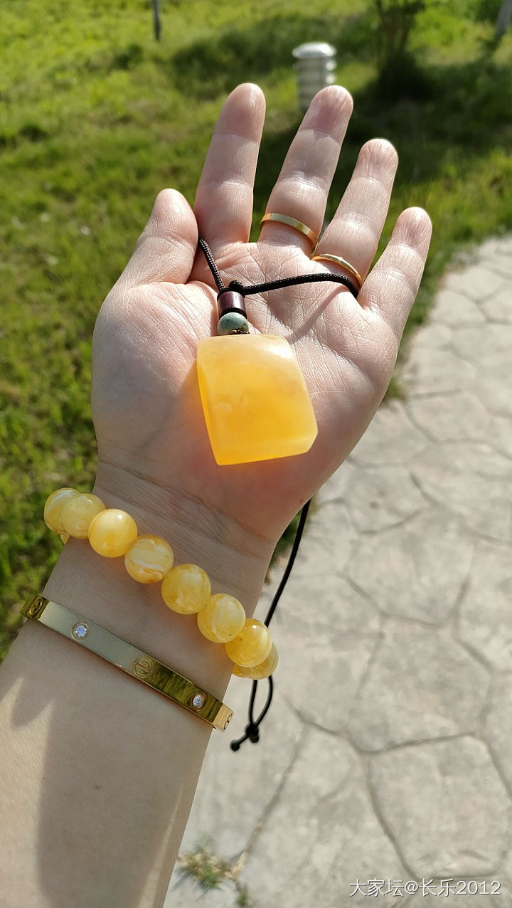 一个会长的小胖子_琥珀蜜蜡