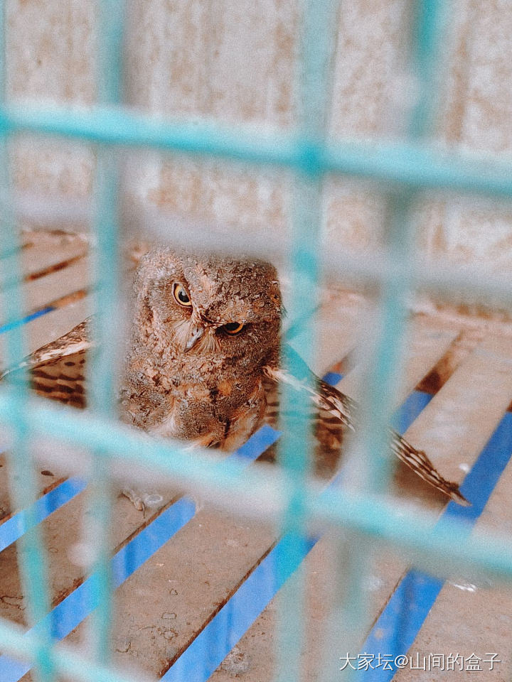 闺蜜拍的你 和 男朋友拍的你_猫