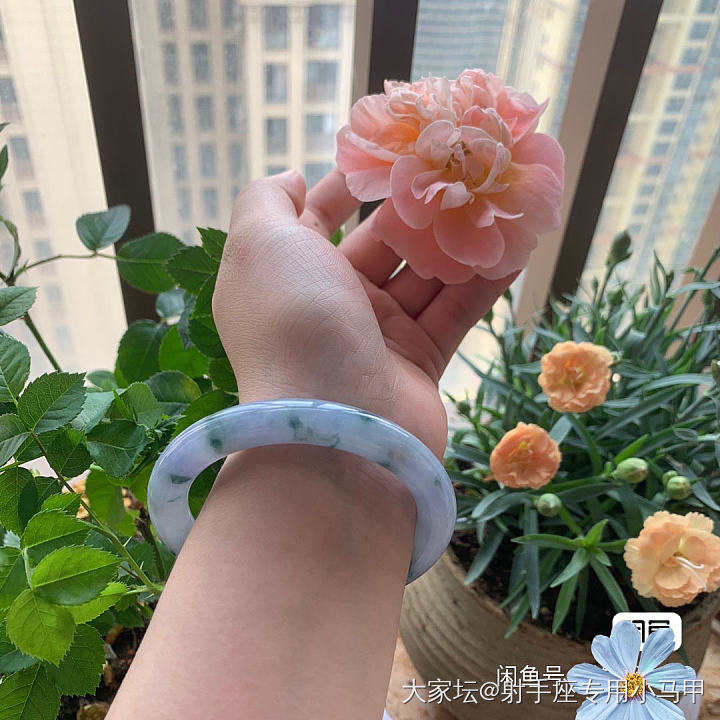 我的文案被人抄袭了？？！黑人问号脸_翡翠