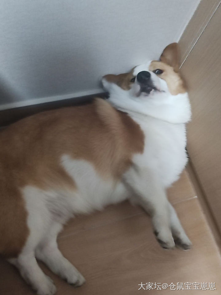 热乎乎的青梅竹马_匠人金