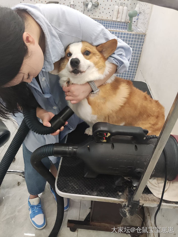 热乎乎的青梅竹马_匠人金