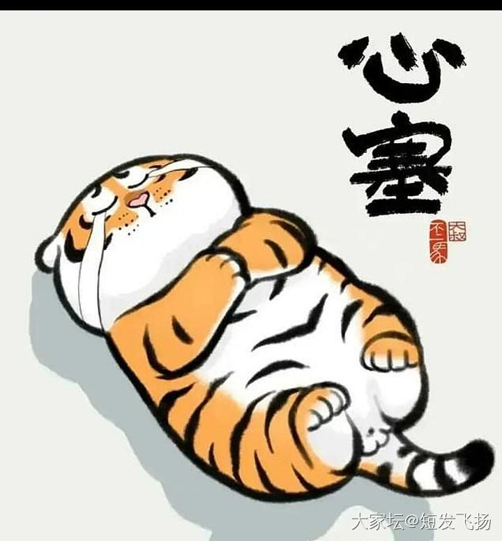 反人类的设计——连身衣裙-裤。_穿搭