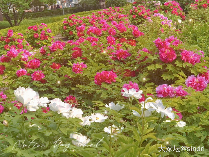 花开的季节_花