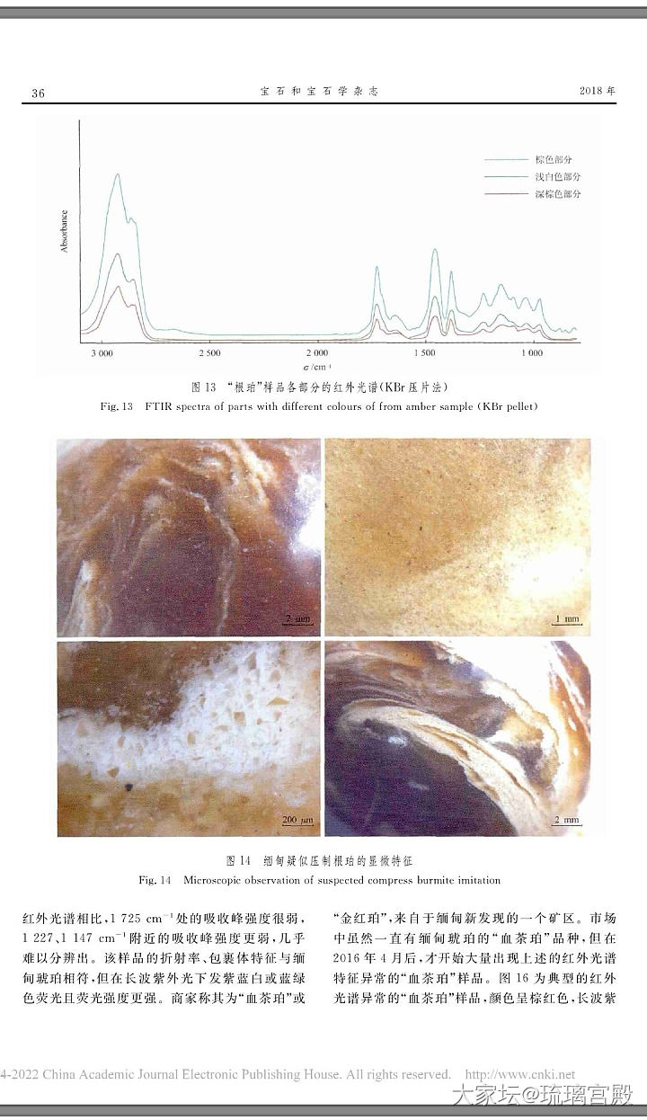 吉尔德，地大联合发布缅甸琥珀假货优化泛滥_琥珀蜜蜡