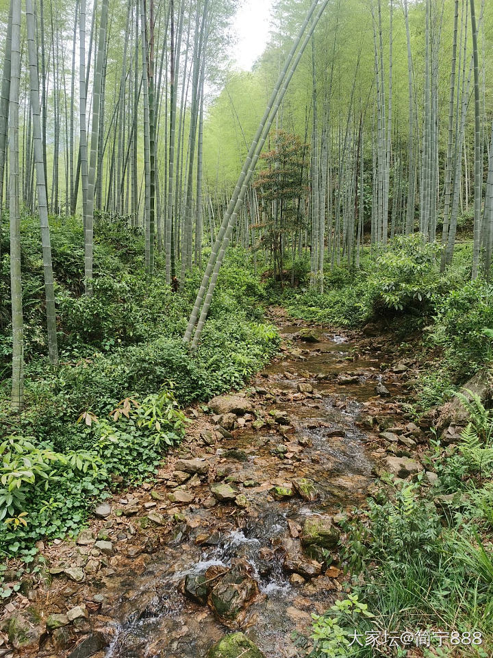 吸吸负氧离子_景色