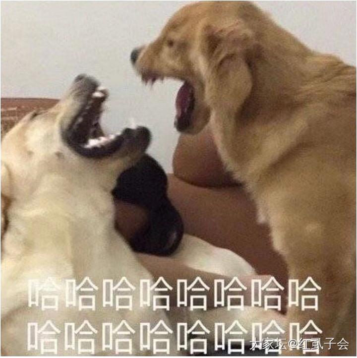 水贴