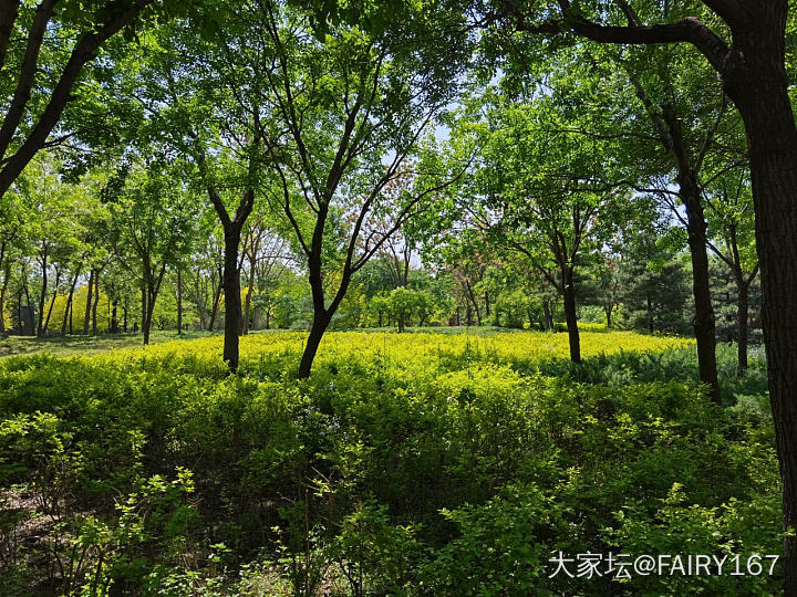 到树林里来个深呼吸_旅游