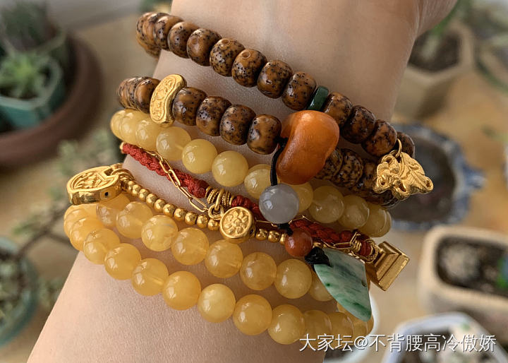 星月好难盘_菩提子
