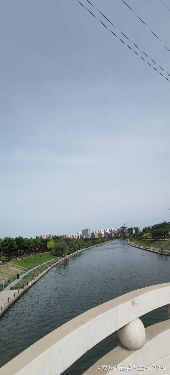 家门口的风景_植物