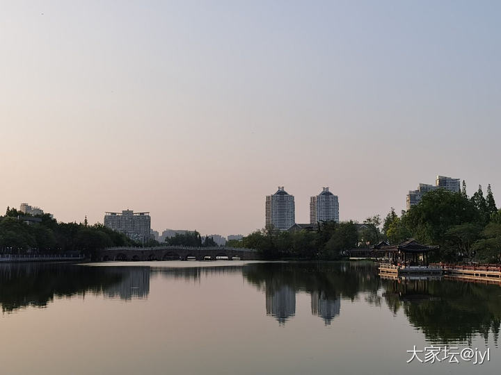 家门口的风景_植物