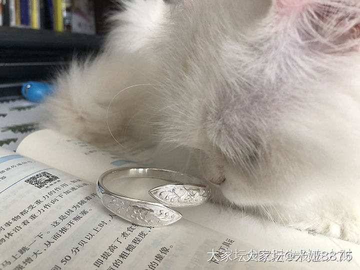 焦急而漫长的等待啊，我的双尖_银