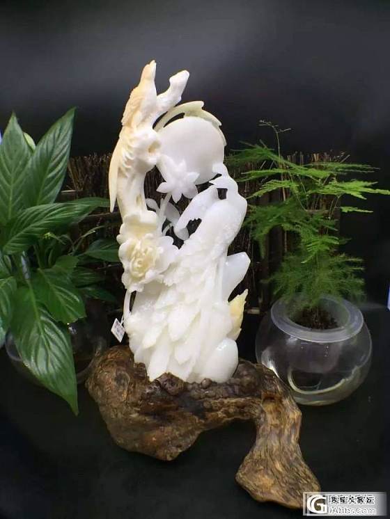 久不发图了，刚出的新品，好货不等人！_砗磲摆件
