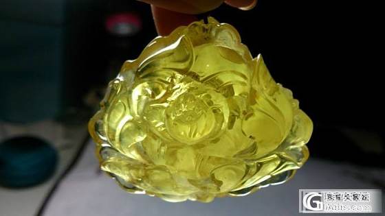 刚败的大牡丹，又来嘚瑟_蜜蜡