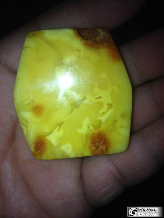 昨天终于把熊杀了 结果出了一条龙_蜜蜡
