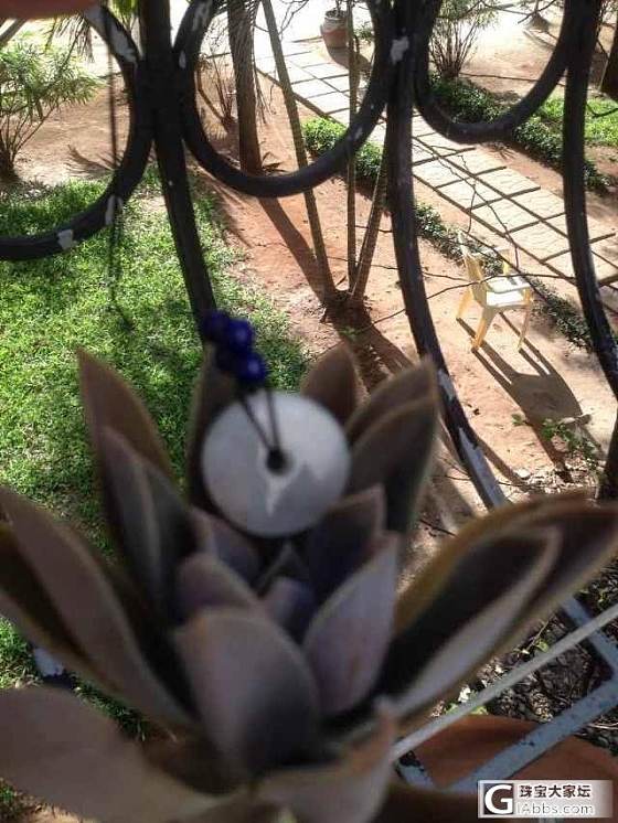 买了很久的小舒终于到手了_宝石