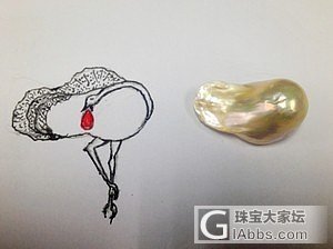 给家里的裸鸡准备的装修图——喜欢自己设计的感觉（55楼三更）_工艺