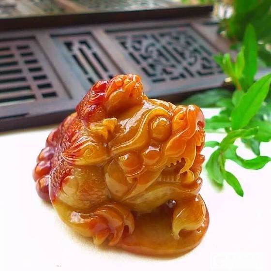 观音来了，跪拜，哈哈_翡翠
