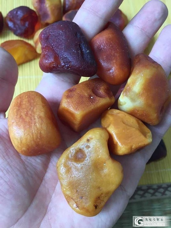 琥珀蜜蜡原石 精挑丹麦料，精挑乌克兰料_有机宝石