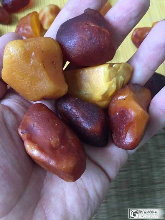 琥珀蜜蜡原石 精挑丹麦料，精挑乌克兰料_有机宝石