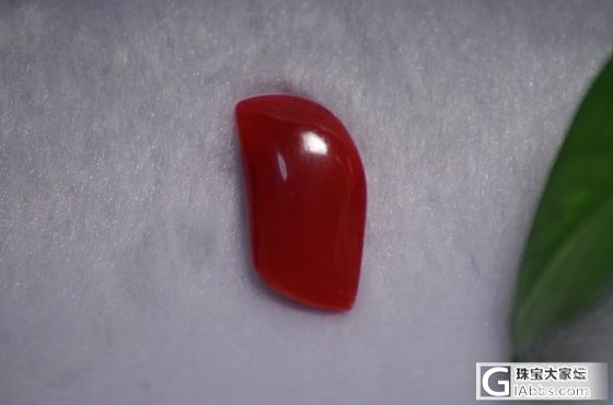 aka牛血红珊瑚戒面_有机宝石