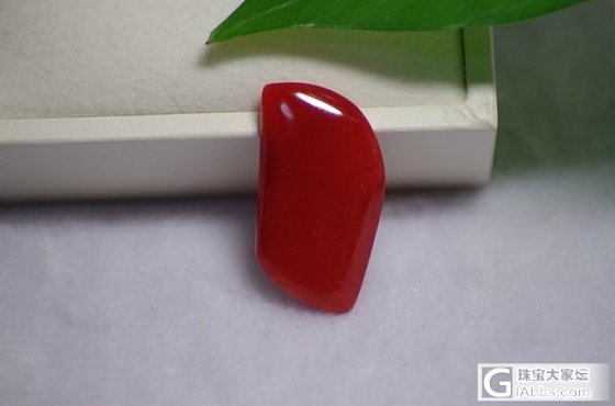 aka牛血红珊瑚戒面_有机宝石