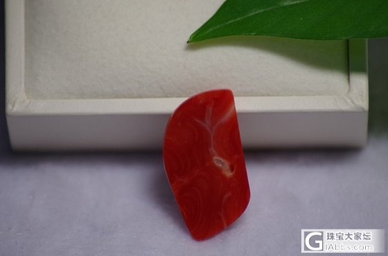 aka牛血红珊瑚戒面_有机宝石