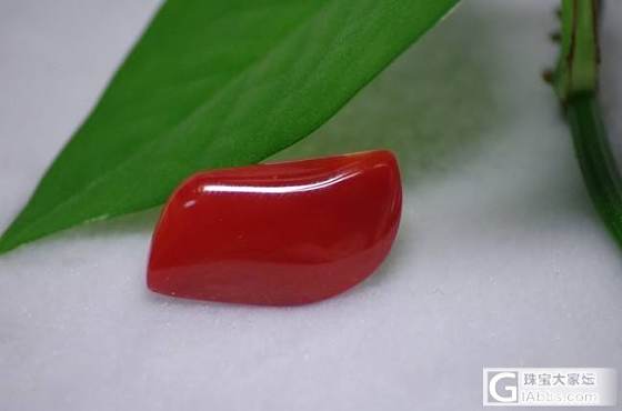 aka牛血红珊瑚戒面_有机宝石