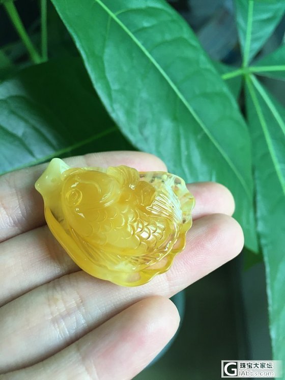 蜜蜡精雕鱼牌，精致牡丹花_珠宝